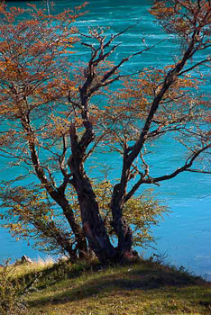 Aguas color turquesa / Turquoise waters; Río Baker