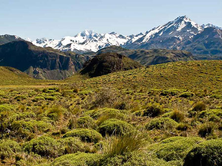Valle Chacabuco, el futuro Parque Nacional de Patagonia / Chacabuco Valley, the future Patagonia National Park